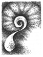 abstract, freehand pen and ink drawing: Nautilus Dream.